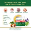 Owell Naturals Drawing Salve Ointment with Pure Shea Butter, for