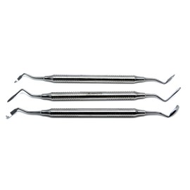 3 Pc Dental Bone Scraper Root Tip Pick Grafting Implantology Surgical Instrument