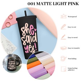 GIRAFVINYL 001 Vinyl Peach Pink Vinyl Permanent - 12" X 8ft Peach Pink Permanent Vinyl for DIY Home Car Decor, Create Signs Labels Tumbler, Matte Adhesive Vinyl for Cutting Machine (Matte Peach Pink)