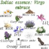 DNH FRAGRANCE Zodiac essence: Virgo embrace Aroma - Color: Blotter