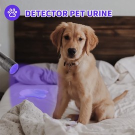 yikosam 10 Pcs UV Black Light Flashlights Bulk, 9 Led 395-400nm Mini Blacklight Handheld Portable Torch Pet Urine Detector for Bed Bug, Hair, Dog Cat Urine and Stains Batteries Included