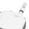 4~20MA Analog Temperature and Humidity Sensor Wall-Mounted Temperature Humidity Sensor