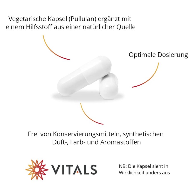 Vitals - Berberine 500 mg high dose 60 capsules vegan.