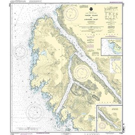 17303--Yakobi Island and Lisianski Inlet, Pelican Harbor