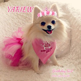 YARIEW 8th Birthday Headband