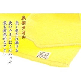 Hayashi BG210203 Bath Towel, Approx. 23.6 x 47.2 inches (60 x 120 cm), Made in Japan, Senshu Towel, Arc Color, Yellow