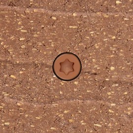 Headcote Cap-Tor XD- 82 Mahogany - 10 x 2-3/4 Stainless Steel Composite Deck Screws - 350 Fasteners for 100 Sq. Ft. of Decking