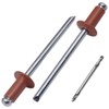 SKIR'CO Pack of 100 Blind Rivets Painted 4.0 x 8