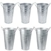 Biugaaufai 6 Packs 8 & 10 Inch Tall Galvanized Metal