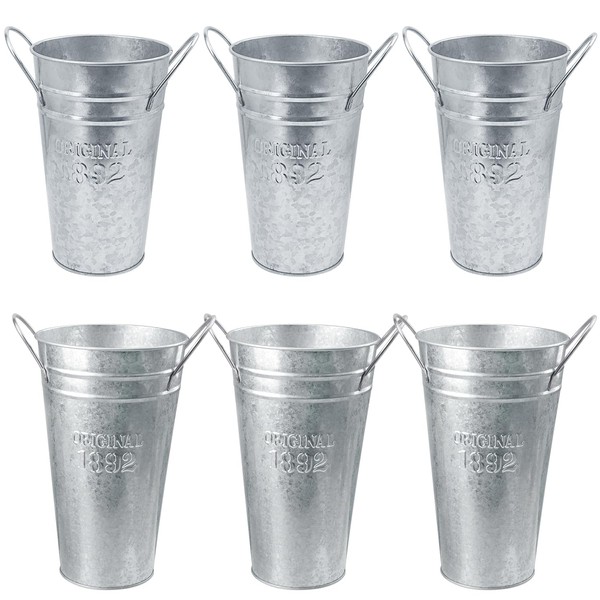Biugaaufai 6 Packs 8 & 10 Inch Tall Galvanized Metal