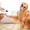Dog Nail Trimmer USB Charging Quiet Powerful Motor Safe Cat