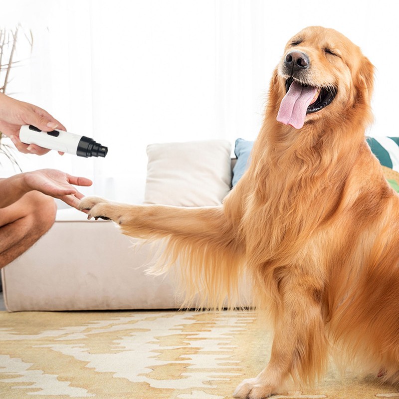 Dog Nail Trimmer USB Charging Quiet Powerful Motor Safe Cat