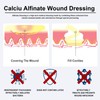 Carbou Calcium Alginate Wound Dressing, 4'' x 4'' Patches,10 Individual