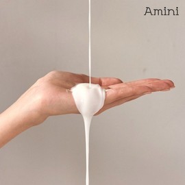 Amini [Hotel Amenity] Amini Conditioning Hair Rinse 500ml / 아미니 [호텔 어메니티] 아미니 컨디셔닝 헤어린스500ml