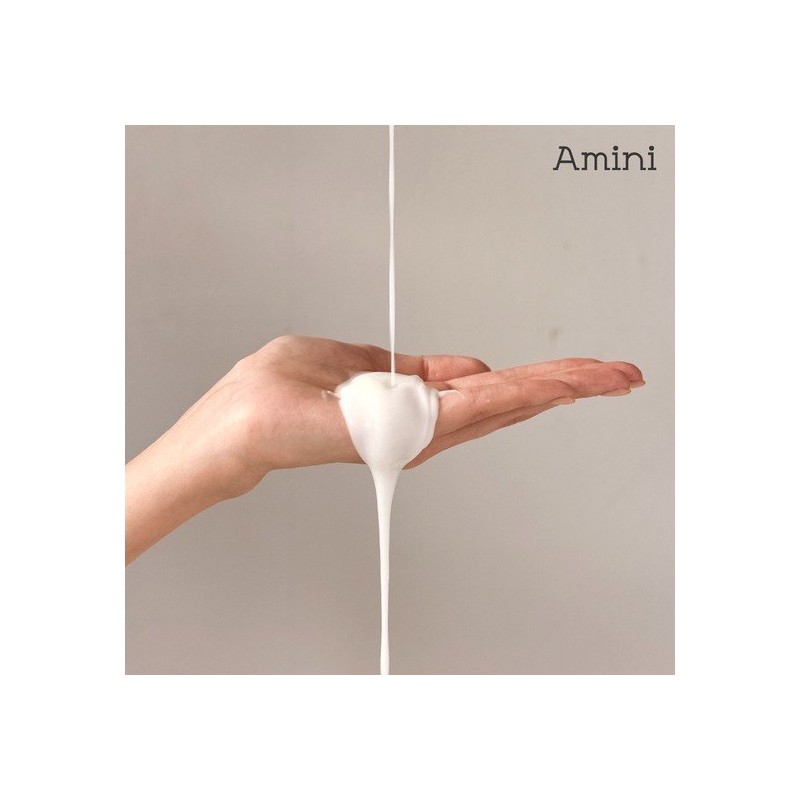 Amini [Hotel Amenity] Amini Conditioning Hair Rinse 500ml / 아미니