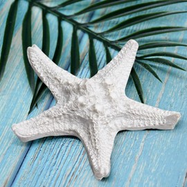 Wixine 6Pcs 5 cm Mediterranean Pentagram Resin Starfish Table Wedding Ornament Decor