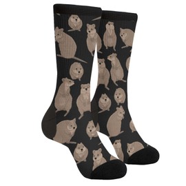 Jedenkuku Cute Quokka Funny Animal Novelty Fun Crew Socks Fashion Comfortable Men'S And Women'S Socks