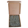 Pack of 1000 Wood Screws 2.5 x 16 mm Galvanised