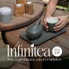 Matcha Orgánico Premium Polvo Antioxidantes Infinitea