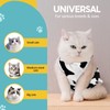 Avont Cat Recovery Suit, Kitten Onesies for After Surgery, Surgical