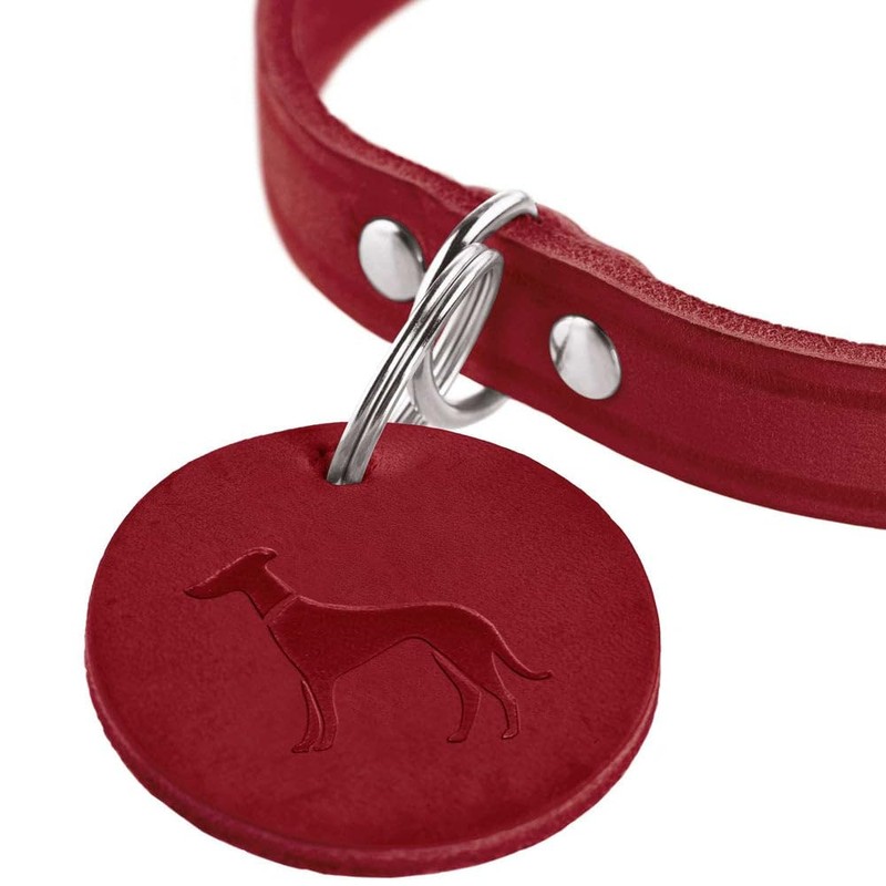 HUNTER Aalborg Dog Collar, Colour: Orange, Robust and Durable Leather,