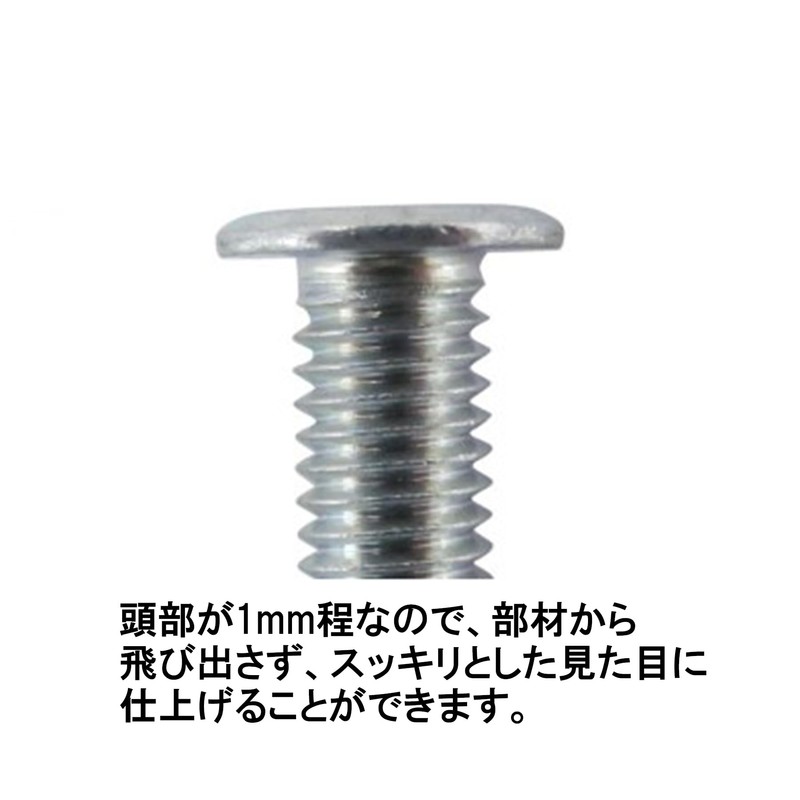 DAIDOHANT 10179255 Ultra Low Head Small Screw Set, with Nuts
