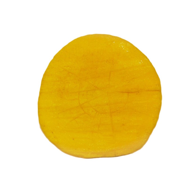 Concrete Texture Stamps And Masonry Forms Tool - Tree Stump