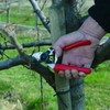 Felco Pruning Shears (F 6) - High Performance Swiss Made