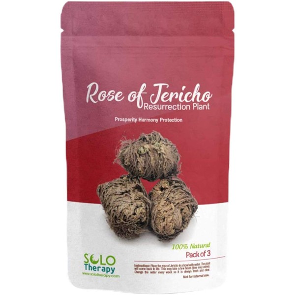 Rose of Jericho Flower The Resurrection Plant | Pack of 3 Dried Roses | Prosperity, Harmony and Protection Sacred Rose | 3" - 4" Each (3)