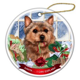 Norwich Terrier Dog Porcelain Hanging Ornament Pet Gift 'Santa.. I Can Explain!'