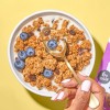 Purely Elizabeth Oatmeal Raisin Cookie Granola 11 Ounce Gluten Free