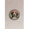 Beagle Dog Head Small Round Silver Alloy Post Stud Earrings