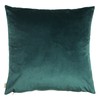 Evans Lichfield Midnight Garden Aquilegia Cushion Cover, Teal, 43 x