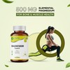 Nutra Life Magnesium Support Supplement, 500mg, 90 Tablets, 3 Month