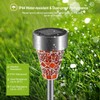 Solar Lights Outdoor Decorative, Solar Garden Lights Stakes, Flower Bed