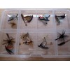 BestCity Fly Fishing for Trout BARBLESS MIXED SEASON SELECTION 20