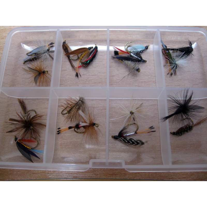 BestCity Fly Fishing for Trout BARBLESS MIXED SEASON SELECTION 20