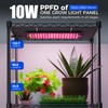 Barrina CX83 Plant Stand with Grow Lights, 6-Tier Plant Shelf