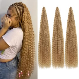 Sarannala Brazilian Curly Braids Crochet Twist Hair 30inches 3Packs Afro Kinky Curly Braiding Hair Extensions Deep Curly Crochet Hair Synthetic Water Wave Braid Hair(30Inch,27#)