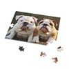 Jigsaw Puzzles for Adults Puzzle-English Bulldog-1000 Piece Jigsaw Puzzles Props