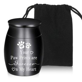Small Cremation Urn, Mini Memorial Keepsake Urn, Funeral Urn, Waterproof Stainless Steel Cremation Container for Keepsake Urn Human, Dog, Small Funeral Urns