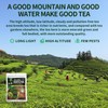 TIAN HU SHAN Organic Matcha Green Tea Powder 4.0oz/114g, Matcha