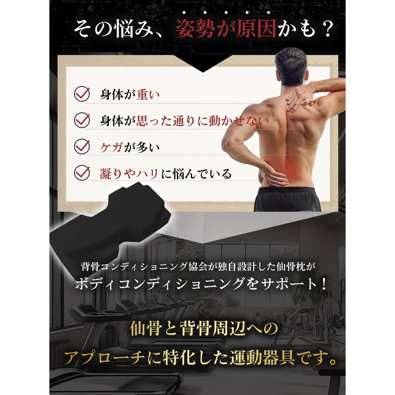 Spine Conditioning Association Sacral Pillow Pro | Stretching, Training Goods,