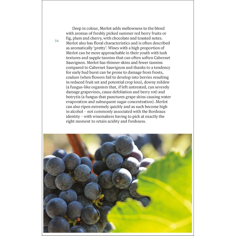 Bordeaux: The Smart Traveller's Wine Guide