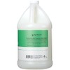 Ginger Lily Farms Aloe Vera Conditioner