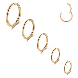 QXXPVV 5Pcs Hoop Nose Rings 20G 18G 16G Stainless Steel Piercing Ring for Nose Septum Cartilage Helix Tragus Conch Rook Daith Lobe for Women Men(5pcs Rose Gold 16G)
