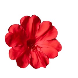 Red Four O'Clock Seeds - Mirabilis Jalapa - Heat and Drought Tolerant Flowers