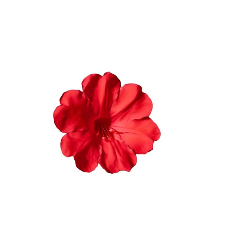 Red Four O'Clock Seeds - Mirabilis Jalapa - Heat and