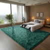 Zentavio Emerald Green Rugs for Living Room Dark Green Area