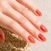 JERMY ONE Summer 2025 Limited Color 155 Eclat Gel me